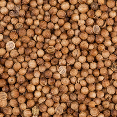 Texture of the coriander grains