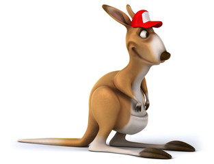 Fun kangaroo © Julien Tromeur