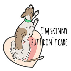 Vector illustration of a very thin Italian greyhound