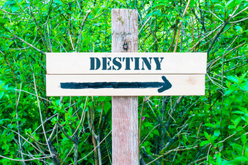 DESTINY Directional sign