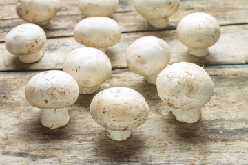 Fresh mushrooms growing on wooden board