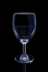 wine glass colourful