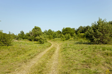 the rural road 