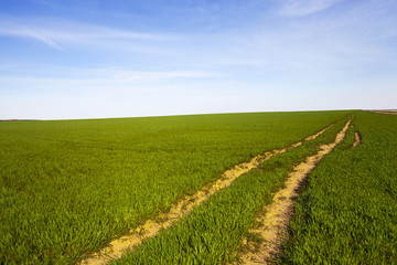 the rural road  