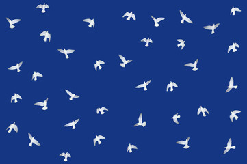 Taubenflug, q.