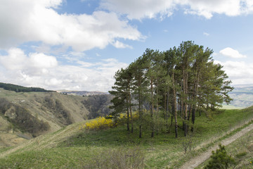 Resort Park in Kislovodsk, Caucasus, Russia
