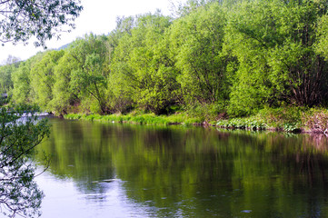 Fototapeta na wymiar rzeka wisła
