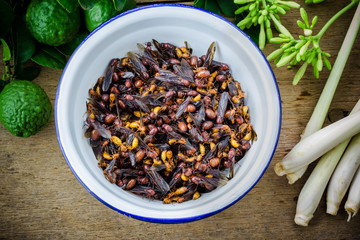 subterranean ants in iron bowl