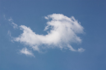 White clouds and sky.