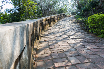 Stone way and tree shadow in the park.