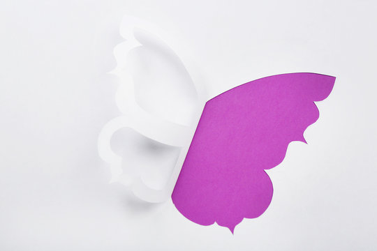 Cutout paper butterfly as greeting card