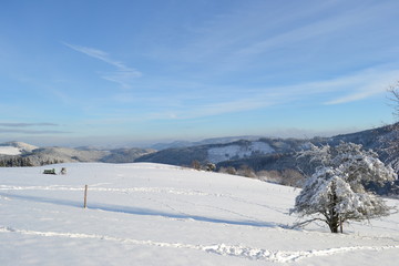 Fototapeta na wymiar Schneebedeckte Landschaft