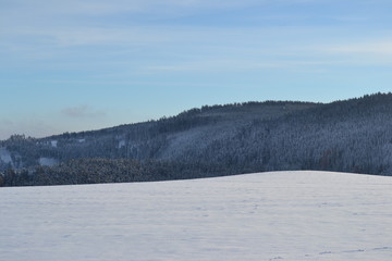 Ausblick auf eine Schneebedeckte Landschaft