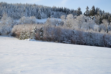 Schneebedeckte Landschaft