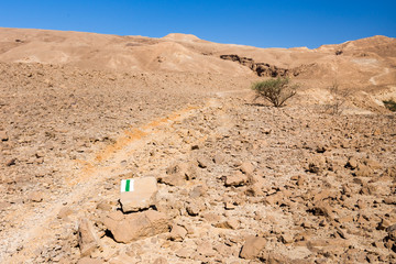 Desert trail marking.