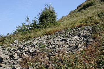 Kamienie w trawie © agatop