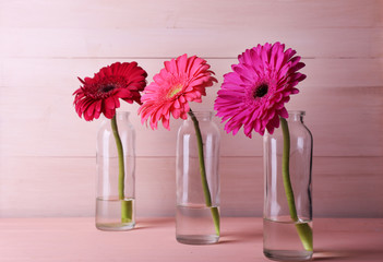 Beautiful bright gerberas in glass vases on wooden background