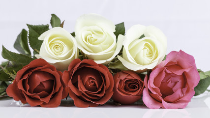 beautiful bouquet roses  on white background