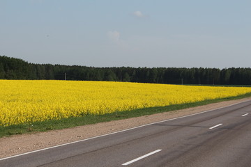 Трасса
