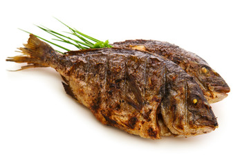 Two roasted dorade fish  isolated.