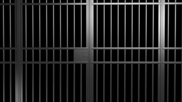  jail bars door  with alpha matte and green screen


