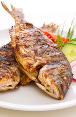 Dorada fish.