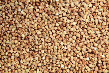 Buckwheat