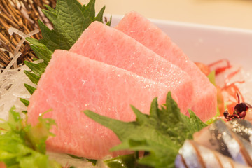 Otoro sashimi (Maguro), Japanese style food