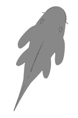 Fototapeta premium cartoon image of baryancistrus xanthellus