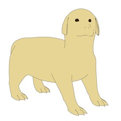 2d illustration of Retriever Puppy