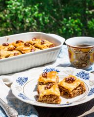 pieces of Turkish honey baklava, a green garden background