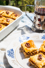 pieces of Turkish honey baklava, a green garden background