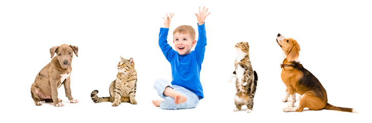 Group of a pets and cheerful child