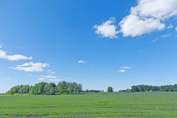 Obraz premium letni krajobraz