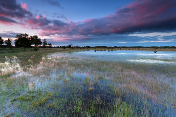 sunset over wild lake after rain
