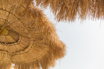 fragment of a beach canopy