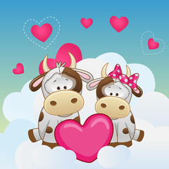 Lovers Cows