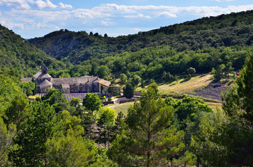 Fototapeta premium Abbey of Senanque