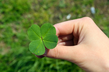 Female hand with four leaves clover, closeup