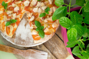 Rustic pizza topped with fresh basil leaves