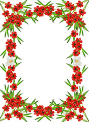 circle frame flowers