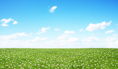 Green field and blue sky