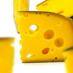  piece of cheese on white background
