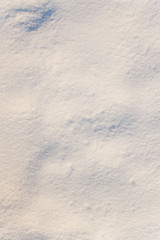 Fototapeta premium snow winter 