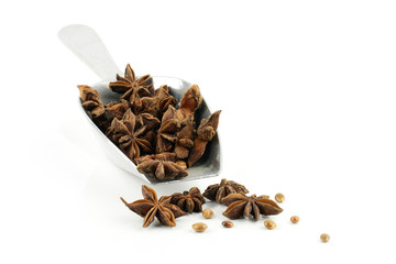 Star anise in scoop.