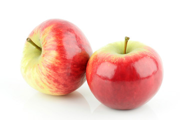 shiny fresh red Elstar apples