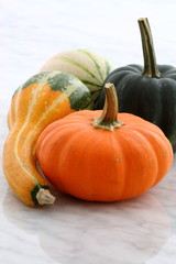 organic summer squash