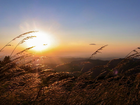Sunset behind a field