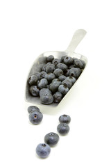 blueberries in an aluminium grocery scoop
