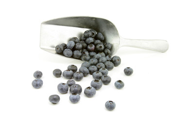blueberries in an aluminium grocery scoop
